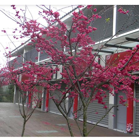Miaoli Sanyi Shantongyazhu Homestay Luaran gambar