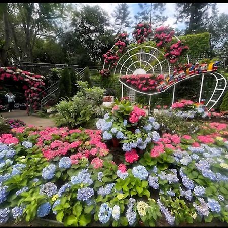 Miaoli Sanyi Shantongyazhu Homestay Luaran gambar