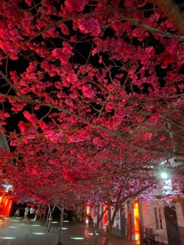 Miaoli Sanyi Shantongyazhu Homestay Luaran gambar