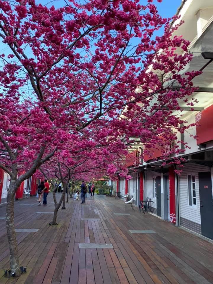 Miaoli Sanyi Shantongyazhu Homestay Luaran gambar