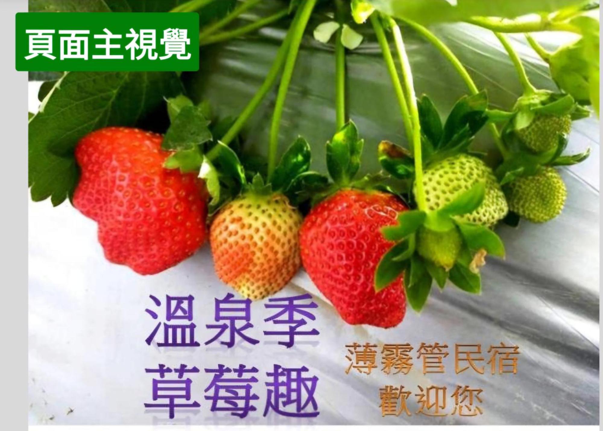 Miaoli Sanyi Shantongyazhu Homestay Luaran gambar